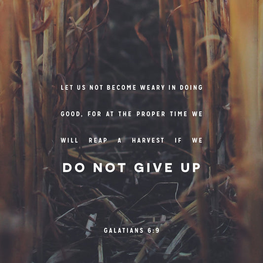 Perseverance and Pressing On (Part 1)