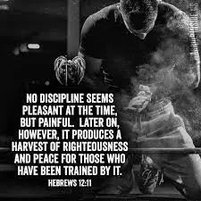 Discipline and Training (Part 2)