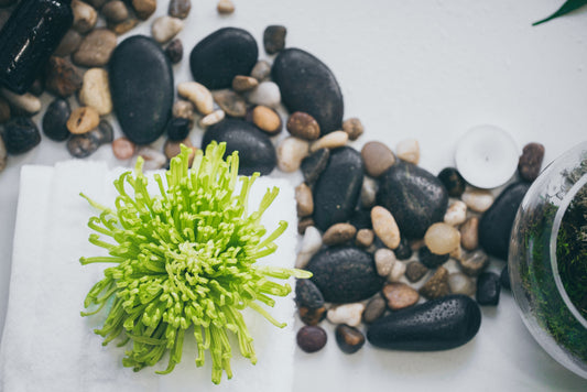 The Healing Power of Bodywork: Reconnecting Through Restorative Touch
