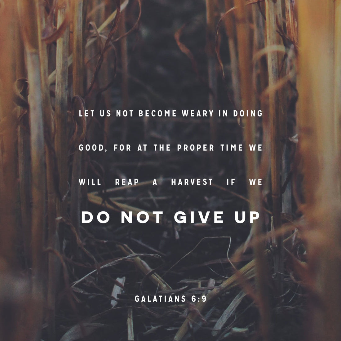 Perseverance and Pressing On (Part 1)